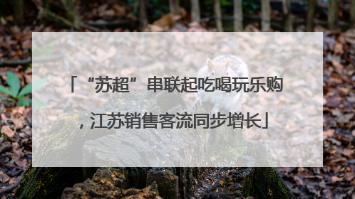 “苏超”串联起吃喝玩乐购，江苏销售客流同步增长
